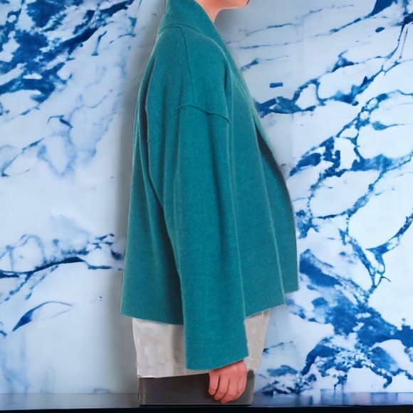 $278 Eileen Fisher Boiled Wool Kimono Sweater Small 6 8 + Pin Oversized Nile NWT - Picture 4 of 16